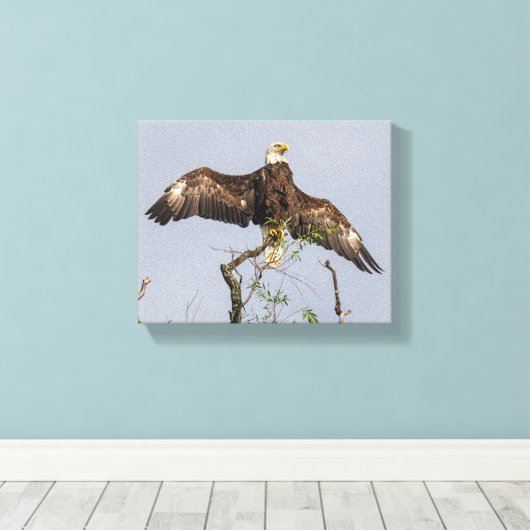Toile Aigle (Insitu (Plancher de Bois))