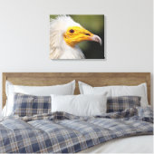 Toile Aigle (Insitu(Chambre))