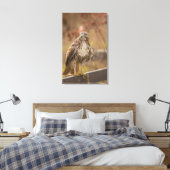 Toile Aigle à queue rouge juvénile (Insitu(Chambre))