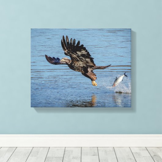 Toile Aigle à tête blanche immature qui dépose un poisso (Insitu (Plancher de Bois))
