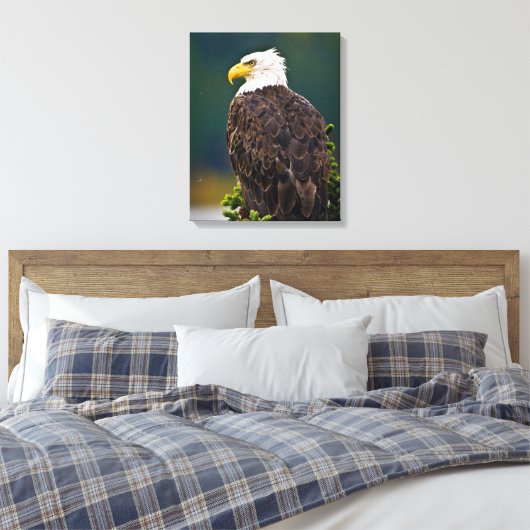 Toile Aigle américain perché (Insitu(Chambre))