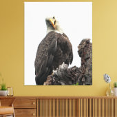 Toile Aigle Bald Vous Regardant (Insitu(Salon))
