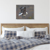Toile Aigle chauve regardant un poisson (Insitu(Chambre))