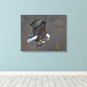 Toile Aigle chauve regardant un poisson (Insitu (Plancher de Bois))