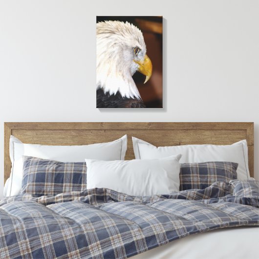 Toile Aigle de Bald (Insitu(Chambre))