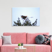 Toile Aigle de Bald (Insitu(Salon))