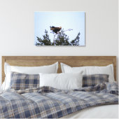Toile Aigle de Bald (Insitu(Chambre))