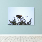 Toile Aigle de Bald (Insitu (Plancher de Bois))