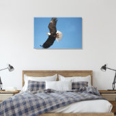 Toile Aigle de Bald en vol (Insitu(Chambre))