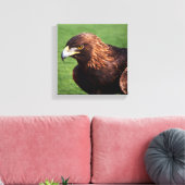 Toile Aigle d'or (Insitu(Salon))