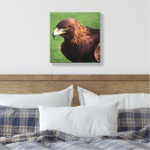 Toile Aigle d'or (Insitu(Chambre))