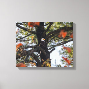 Toile Aigle et Feuilles en chute