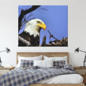 Toile Aigle maturé dans le nid (Insitu(Chambre))