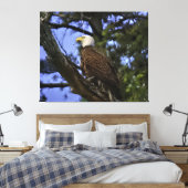Toile Aigle mûre perché dans l'arbre (Insitu(Chambre))