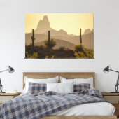 Toile Aiguille de Desert Mountain Weaver Arizona USA 60x (Insitu(Chambre))