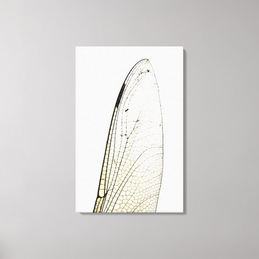 Toile Aile de libellules (Recto)