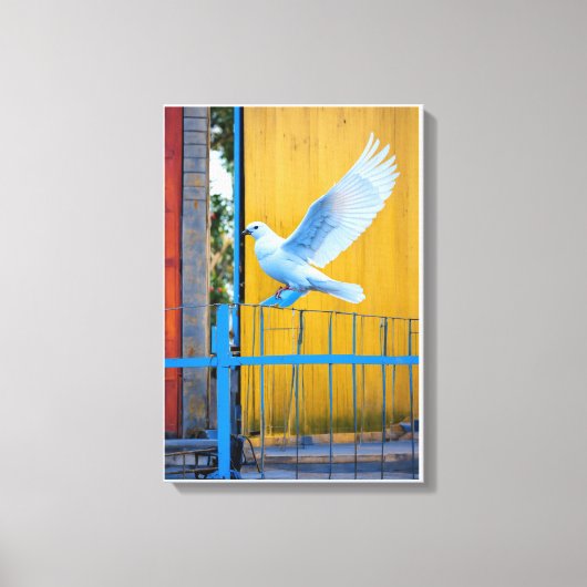 Toile Ailes de la paix (Recto)