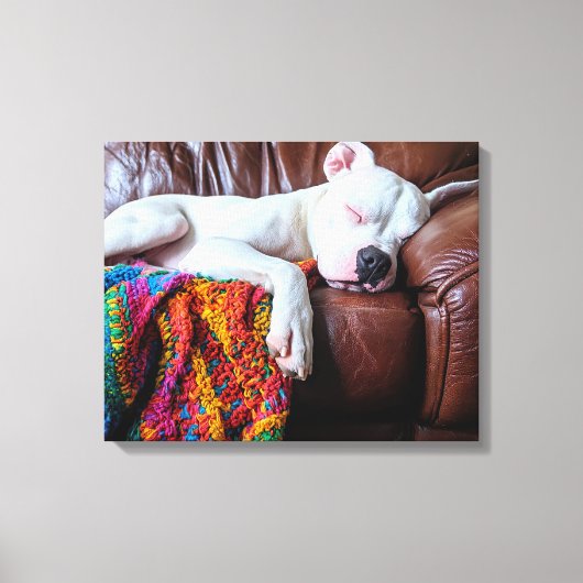 Toile Aimer Pitbull Chien Dormir sur le canapé (Recto)