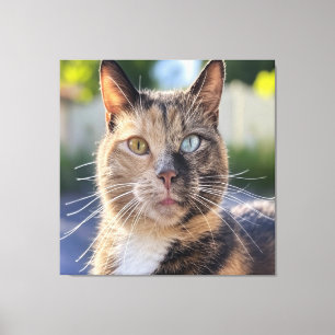 Toile Ajouter une Personnaliser photo de chat
