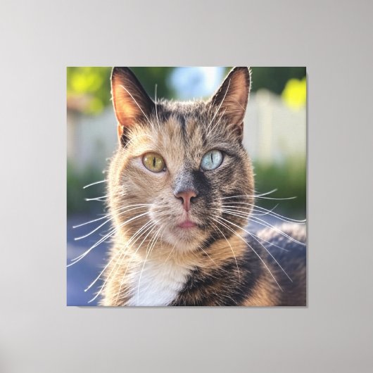 Toile Ajouter une Personnaliser photo de chat (Recto)