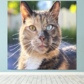 Toile Ajouter une Personnaliser photo de chat (Insitu (Plancher de Bois))