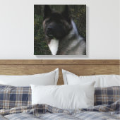 Toile akita pinto masque noir (Insitu(Chambre))