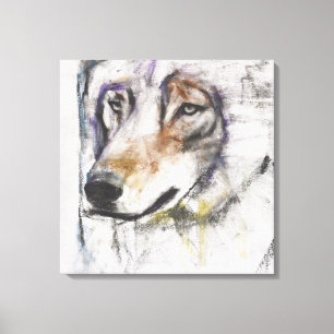 Toile Al Lupo de Processo