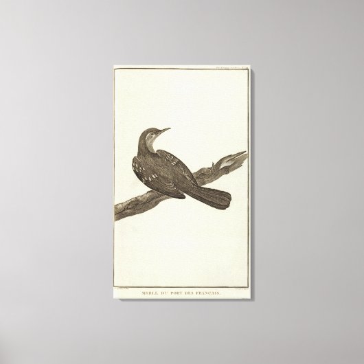 Toile Alaska 6 (Recto)