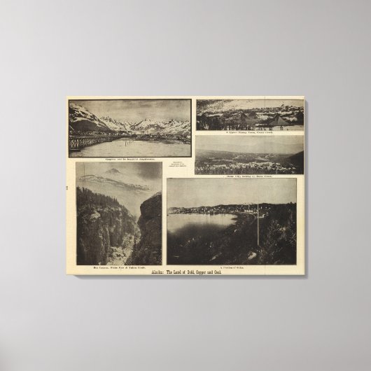 Toile Alaska 6 (Recto)