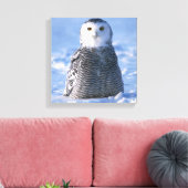Toile Alaska Arctic Snowy Owl Photo Conçu (Insitu(Salon))