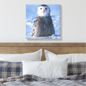 Toile Alaska Arctic Snowy Owl Photo Conçu (Insitu(Chambre))