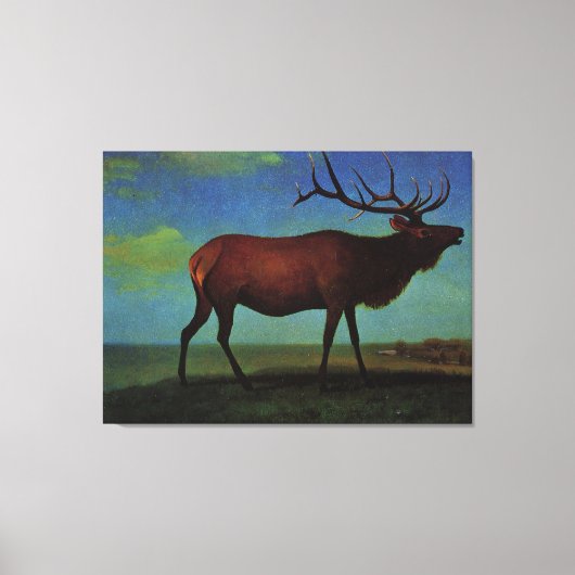 Toile Albert Bierstadt, Elk (Recto)