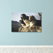 Toile Alberta, Canada 2 (Insitu (Plancher de Bois))