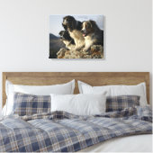 Toile Alberta, Canada 2 (Insitu(Chambre))