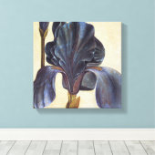 Toile Albrecht Durer Flowers - Iris Détail Peinture (Insitu (Plancher de Bois))