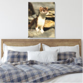 Toile Alerte Weasel (Insitu(Chambre))