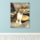 Toile Alerte Weasel (Insitu (Plancher de Bois))