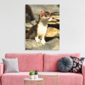 Toile Alerte Weasel (Insitu(Salon))