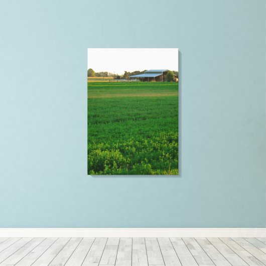 Toile Alfalfa (Insitu (Plancher de Bois))