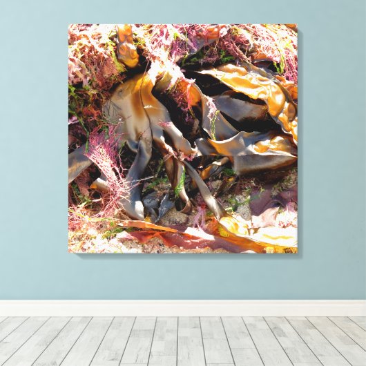 TOILE ALGUES (Insitu (Plancher de Bois))