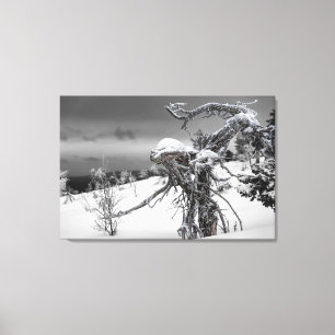 Toile Alien en bois dans le cadre hivernal