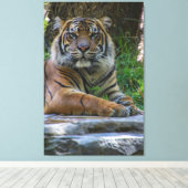 Toile Alimentation (Insitu (Plancher de Bois))