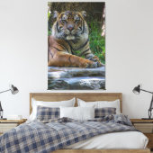 Toile Alimentation (Insitu(Chambre))