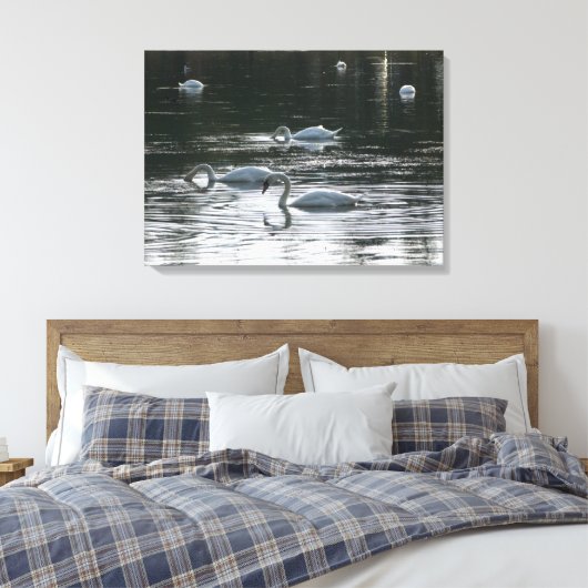Toile Alimentation des cygnes, Lac Roath Park, Cardiff (Insitu(Chambre))