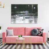 Toile Alimentation des cygnes, Lac Roath Park, Cardiff (Insitu(Salon))