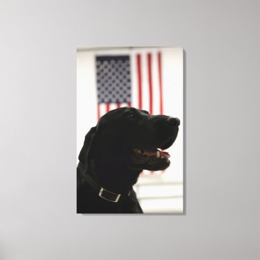 Toile All-american Black Labrador Retriever (Recto)