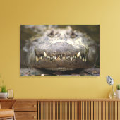Toile Alligator américain (Insitu(Salon))