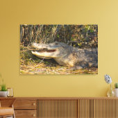 Toile Alligator, Canaveral National Seashore, Floride (Insitu(Salon))