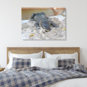 Toile Alligator, Fort Lauderdale, Floride (Insitu(Chambre))