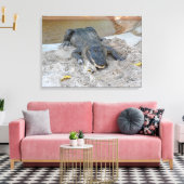 Toile Alligator, Fort Lauderdale, Floride (Insitu(Salon))